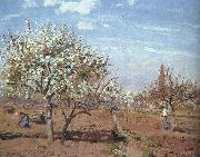 Camille Pissaro Orchard in Bloom at Louveciennes oil painting artist